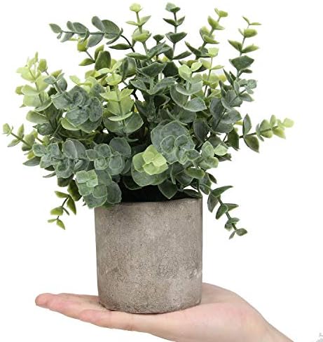 Flojery mini plantas em vasos artificiais Eucalyptus boxwood Rosemary Greenery em Pots Faux em vasos de ervas pequenas plantas