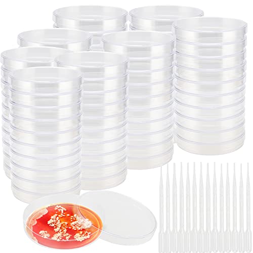 Heihak 80 pacote 90 x 15 mm Plástico Petri With Lids e 200 pipetas de transferência de 3 ml de plástico, prato de Petri estéril claro,