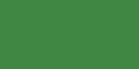 Ranger MDP48824 Dina Wakley Media Ponto de acrílico pesado, 2 oz, sempre -verde