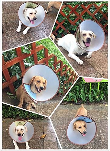 GMASO Pet Recuperação de colarinho eletrônico para cães e gatos de estimação, colar de recuperação ajustável profissional