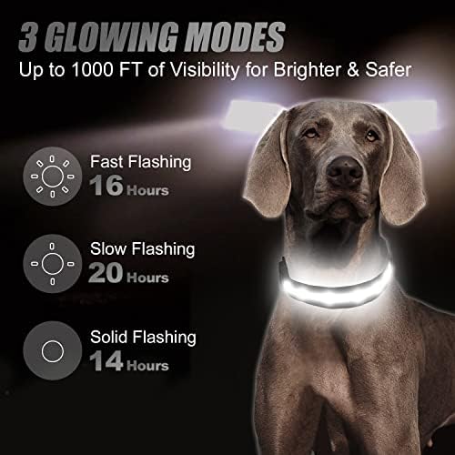 JoyTale 16-24 '' colarinho de cachorro liderado e trela reflexiva de dupla face de 6 pés, luz recarregável de segurança noturna para caminhada colar