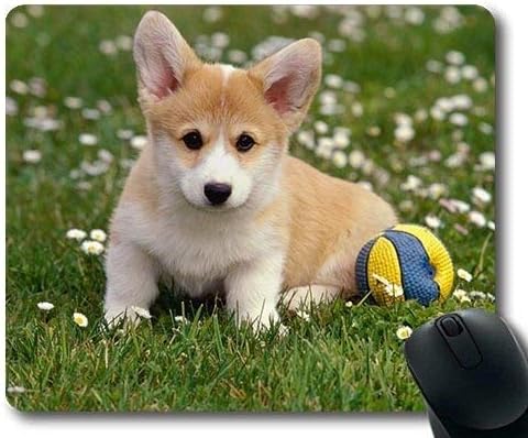 Mat de mouse de jogos, Chihuahua Dog Download, costura de precisão, almofada de mouse durável