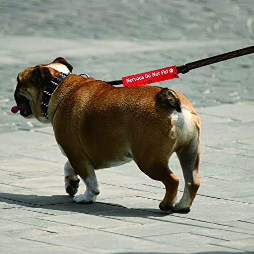 Funny Dog Leash manga nervosa Não animal de estimação coleira de cães embrulhada alerta de idiota penduramento tag tag presente