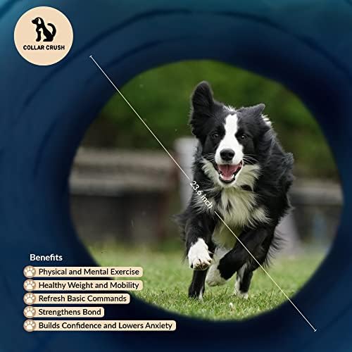 Equipamento de treinamento de agilidade para cães de cães de colarinho - equipamento de treinamento de agilidade para cães - 1 túnel, 6 postes de slalom, 1 conjunto de obstáculos, 1 conjunto de pneus e bolsa de transporte