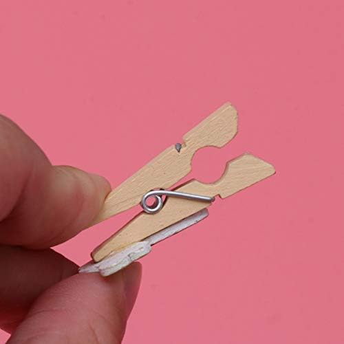 AMOSFUN 10PCS Mini clipes de fotos Dragonfly Craft Craft Craft Decane