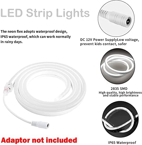 Dosyu LED Light Light Strip [White 16,4ft] e [12V Power Supply]
