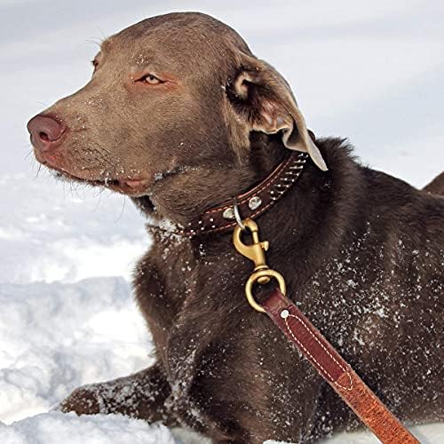 Treinamento profissional para cães coleira de couro genuíno de serviço pesado de 6 pés de comprimento