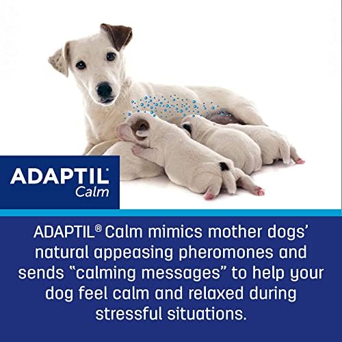 Adaptil Dog calmante Feromônio, 30 dias RECILL - 1 pacote