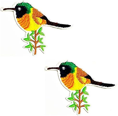 Kleenplus 2pcs. Pretty Nature Bird Cartoon Patch Birds Appliques Appliques artesanais feitos à mão menina menina Mulheres Roupas