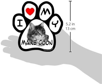 Imagine isso, eu amo meu ímã de carro de pata de imagem do Maine Coon, 5-1/2 polegadas por 5-1/2 polegadas