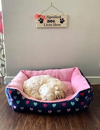 Wood Dog Set Decor Decor Lover Sign, sinal pendurado no animal de estimação para decoração de casa, placa decorativa