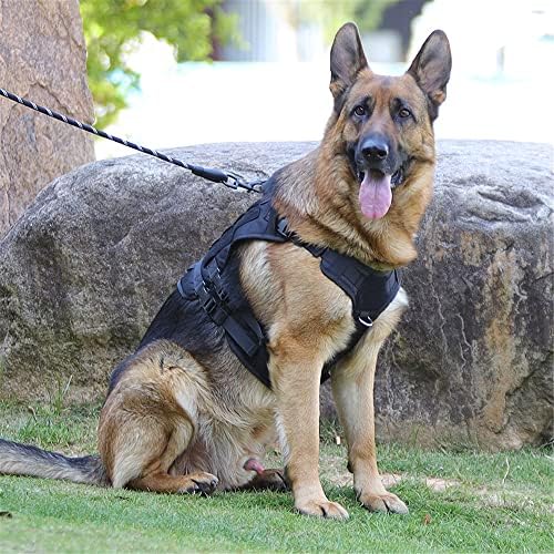 Trenbader Dog Tactical Colet Harness Nylon Front Clipe Cão Cão Militar Trabalho Cão Molle Vest com alça de borracha de metal sem puxar colete de arnês de cachorro médio grande para treinar caça