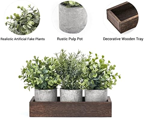 Dahey 3 Pack mini vasos de eucalipto artificial em vasos de plantas falsas com bandeja de madeira decoração de mesa central,
