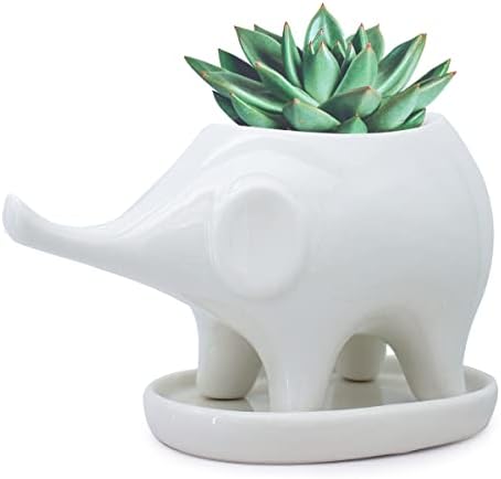 Caixa de janela de planta de planta de planta de planta de cerâmica branca de elefante gelive com decoração de animais de pires