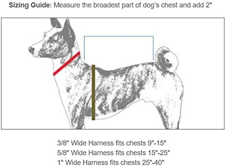 Vários de arnês de cão colorido Bulk Shelter Vet Rescue Escolha Tamanho e Quantidade