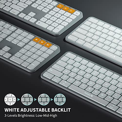 Protoarc rgb bluetooth mouse ergonômico e teclado Bluetooth iluminado para Mac