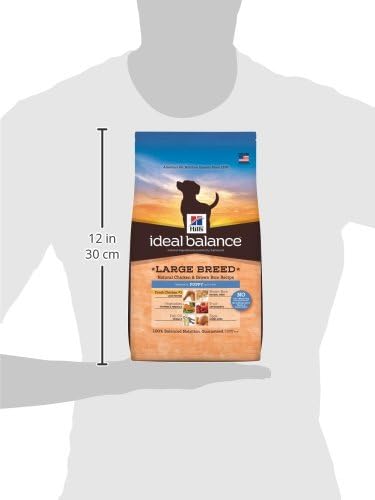 Equilíbrio ideal de Hill Raia Grande Frango natural e arroz marrom Receita de cachorro seco de cachorro, 4 libras