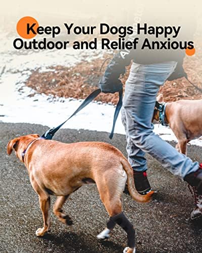 Chave do fundo da perna traseira de cachorro, um par de abrissões de articulações da perna de cachorro canino protege as feridas,