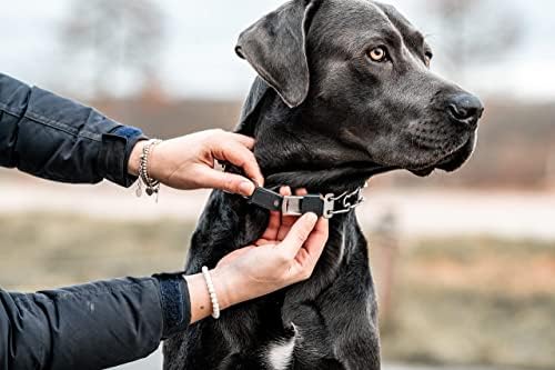 Herm Sprenger Dog Treinando Collar Prong com fivela de cliclock de liberação rápida e anel giratório | Cola de aço inoxidável ajustável feita na Alemanha para cães grandes até 20 pescoço