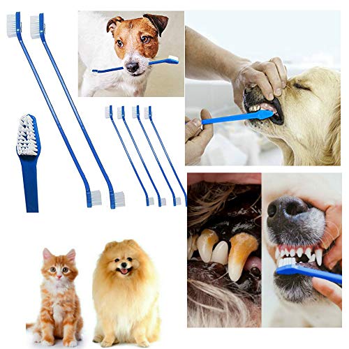 Pienoy 50-Pieces Cada de cabeça/gato escova de dentes-escova de dentes conveniente para limpar os dentes de estimação, escova de dentes de estimação