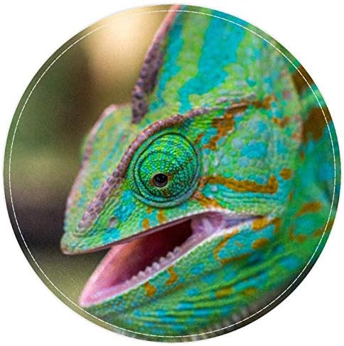HEOEH REPTILE Lizard Green Chameleon, capacho sem deslizamento de 15,7 de tapete de tapete redondo tapetes tapetes para crianças