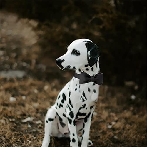 Colar de cachorro de seda preta genérica com colarinho de cães de estimação ajustável de gravata borboleta para cães pequenos médios