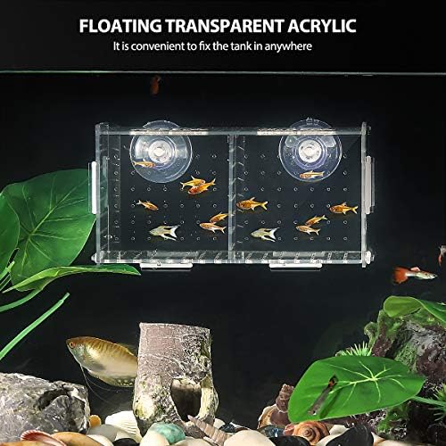 Caixa de criação de peixes de aquário Balacoo - Isolamento transparente de peixe acrílico Isolamento Caixa de aclimatação de peixes