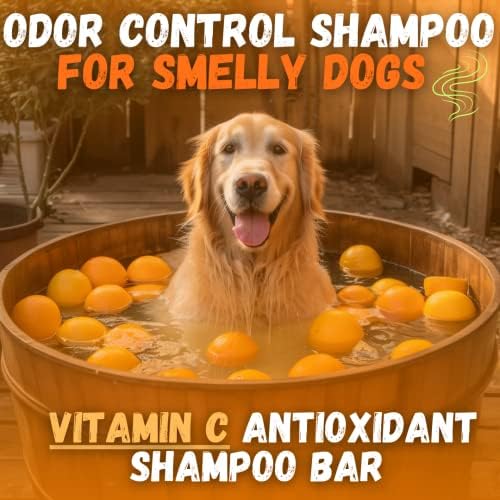 Kelebs desodorizando shampoo para cães fedorentos | Shampoo de cachorro | Shampoo de animais de estimação orgânico para cães | Barra de shampoo de cachorro natural | Óleos essenciais cítricos | Ecológico | Resíduos de plástico zero | Vegano | 3 pacotes