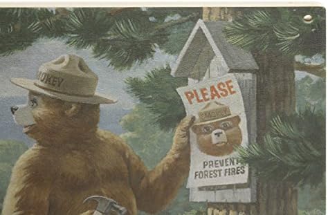 Urso esfumaçado, sinais de postagem, sinal de parede de madeira de bétula vintage