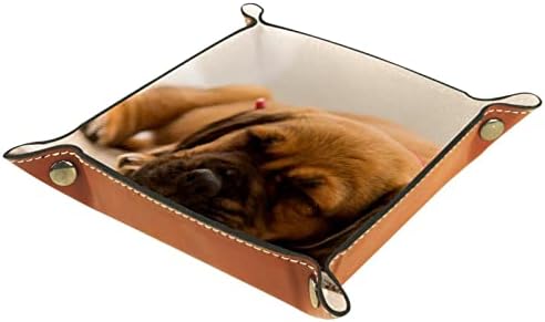 Caixas de armazenamento de Tacameng pequenos e fofos cachorrinhos de cachorro, bandeja de manobrista de couro organizador de