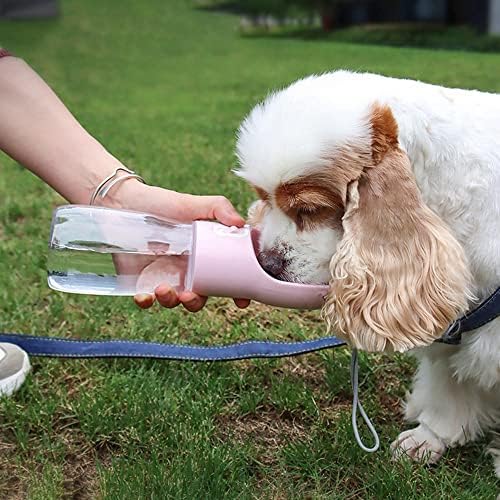Brancar água portátil para cã