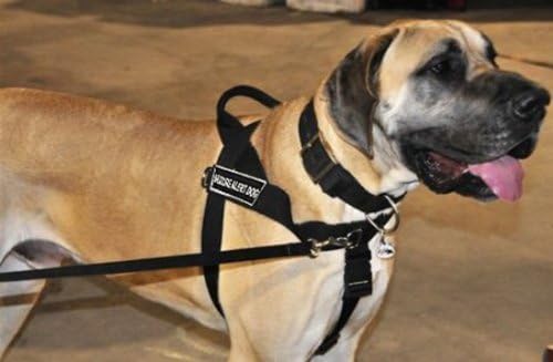 DT Universal No Pull Dog Arnness, Alerta de apreensão cachorro, preto, grande, se encaixa no tamanho: 31 polegadas a
