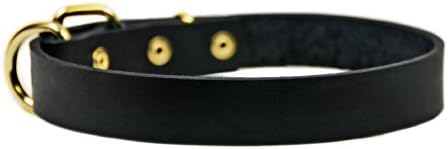 Dean & Tyler B e B Black Basic Leather Dog Collar com hardware de latão sólido, tamanho de 18 polegadas por 3/4 de polegada, se encaixa