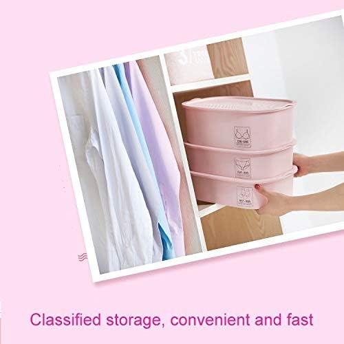 Sundries Storage Box 3 PCs/Definir meias de roupa de baixo plástico Caixa de armazenamento Organizador doméstico para pequenas roupas.