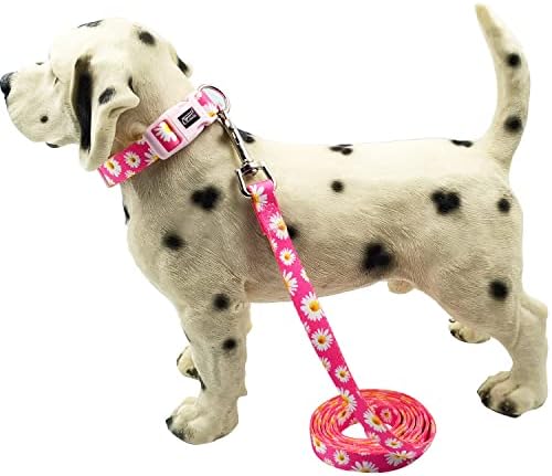 Olahibi Dog Collar and Leash Conjunto, padrão de margarida rosa fofa, material de poliéster, trela de 5 pés, para cachorros.