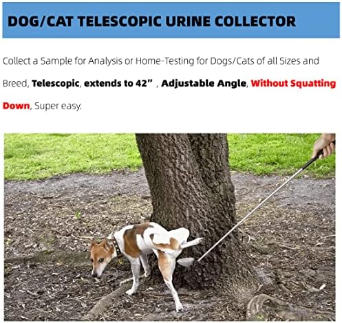 Coletor de urina de gato para cães - apanhador de amostras de urina telescópica se estende a 42 , reutilizável, prático,