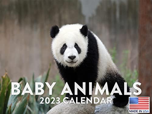 Baby Animal Calendário 2023 Calendário de parede mensal Babias fofas Pet Nature Kitten Small Large Planner 24 meses - Full 2023 Escreva na Grid Plus Bonus 2024 Preview Chart - Feito nos EUA