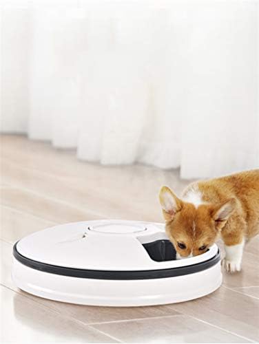 Tyi -alimentador de gato e cão automático, relógio programável Smart LCD, alimentador de animais de estimação molhado e seco,