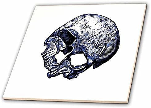 Crânio humano quebrado 3drose em tinta azul de estilo tatuagem - ladrilhos