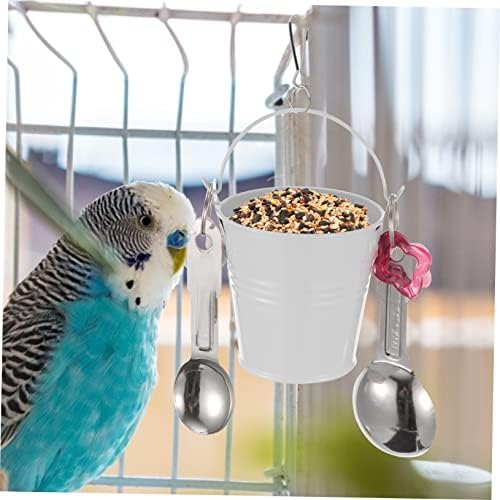 Garão de pássaros Copo de alimentos para a bandeja de bandeja de beija -flor de ferramentas Bandejas de pássaros portador de alimentos