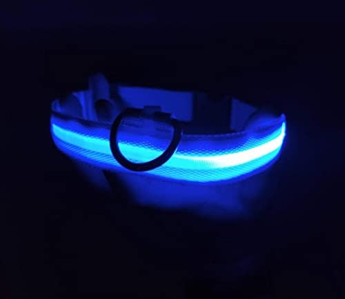 Lumipaws LED Light Up Dog Collar - Night Safety - USB Recarregável - Luz de colarinho brilhante resistente à água