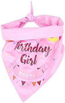 Kit de festa de aniversário adorável para cães menina, incluem lenços de bandana, chapéu de festa, bandeira holográfica