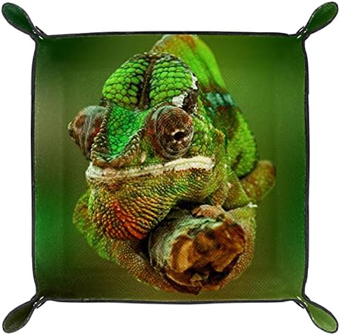 Chameleon Reptile Lizard Green para equipamento de escritório Tolante de caddy de mesa