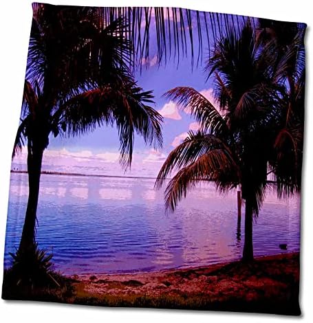 3drose florene - resumo fotografia - impressão de palmeiras Matlacha Florida - toalhas