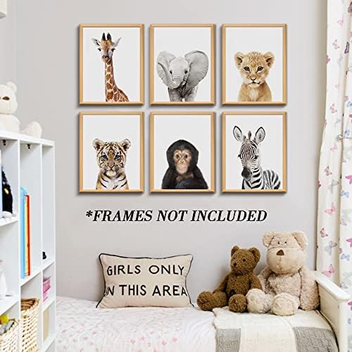 Conjunto de 6 bebês Decoração de parede de berçário de safari - Imagens de parede de animais fofos na tela, menores de 20 dólares presentes para meninos e quarto de meninas, arte de parede sem moldura