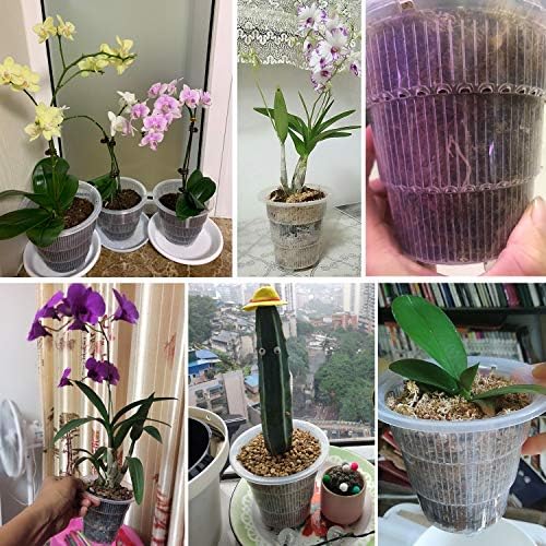 Malha de malha de 4 polegadas de 4 polegadas de orquídea plástica transparente com buracos e pires de plantador de orquídea