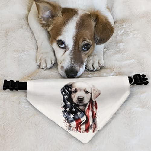 America Design Pet Bandana Collar - Print Scondf Collar - Graphic Dog Bandana - XL