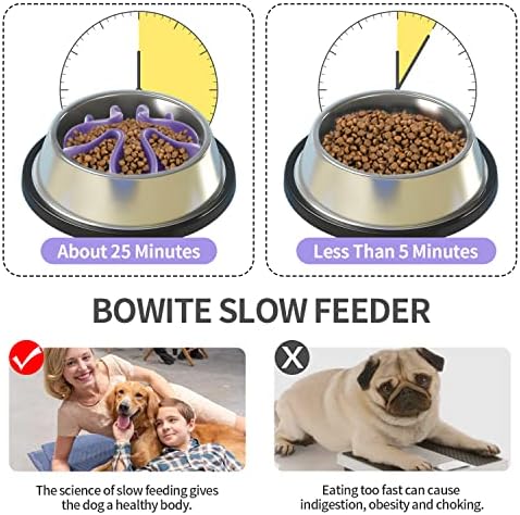 Tigelas de cães de alimentador lento Inserir silicone de silicone grande alimentador lento com 51 xícara de sucção