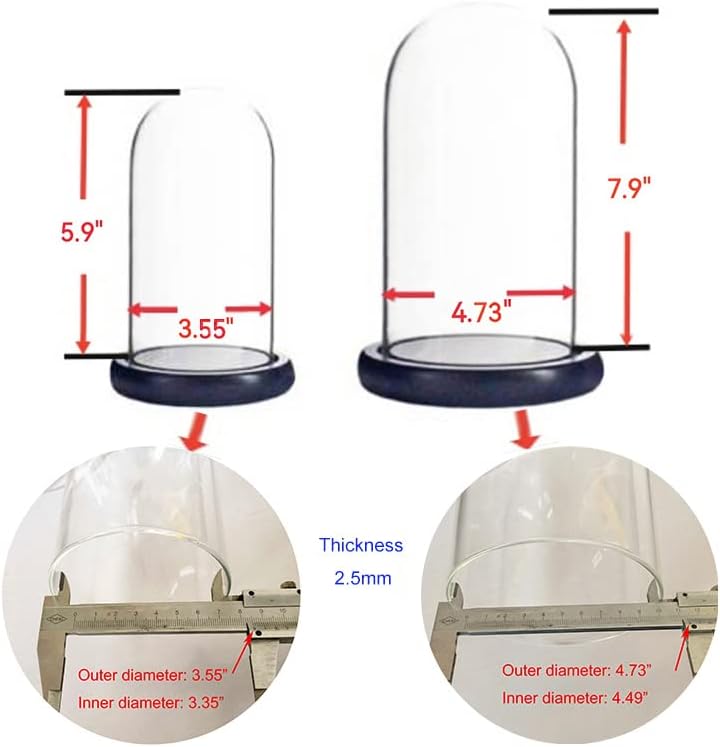 ALHOMEE 2PCS Glass Cloche Dome H: 7,9 x W: 4,8 e H: 5,9 x W: 3,6 Garra de campainha de vidro com base de vidro de madeira