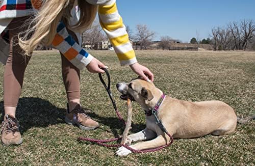 Ollydog Dog Treat Pouch e Rope Leash Set, Goodie Treat Bag e pacote de trela da montanha, confortável para qualquer aventura, treinamento